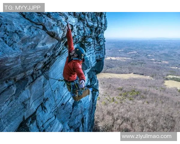 南京攀岩队在极限运动嘉年华中的团队协作表现精彩点评与分析