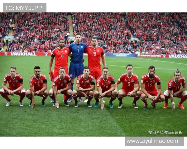 南京足球队在世界杯预选赛中以89分稳居积分榜首位展现强劲实力