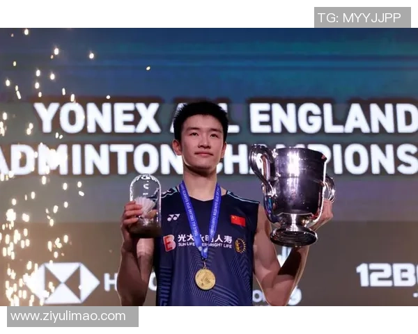 南京羽毛球队个人能力分析与发展策略探讨