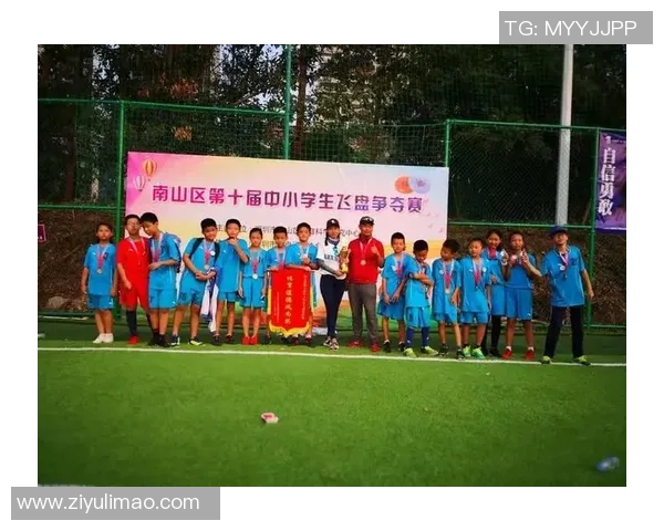 南京飞盘队耐力训练揭秘：如何在赛场上展现持久战斗力